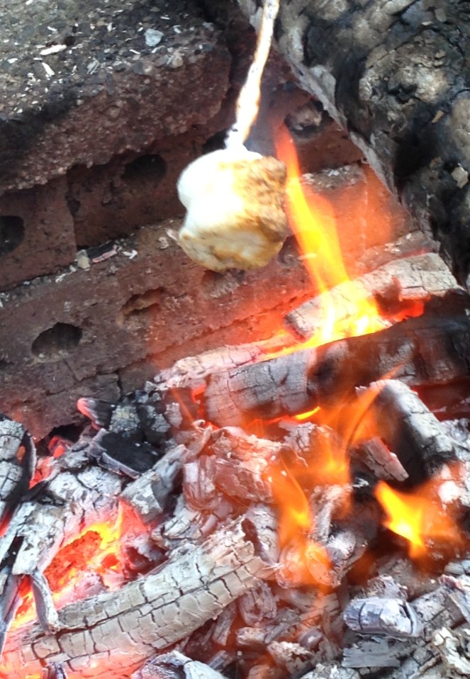 toasting marshmallows