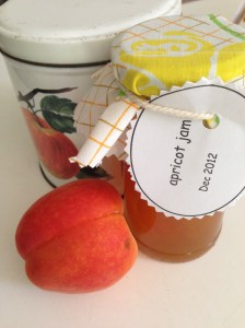 apricot jam and apricot