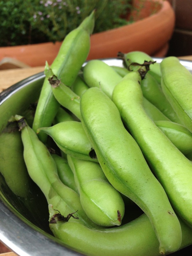broad beans