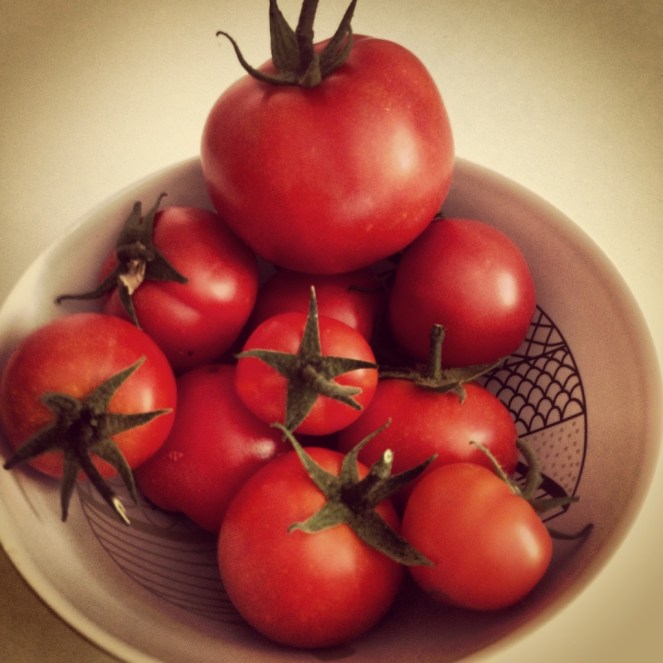 Bowl of Tomatoes
