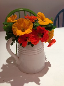 nasturtium jug