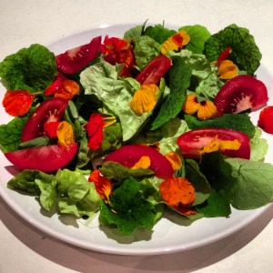 nasturtium salad