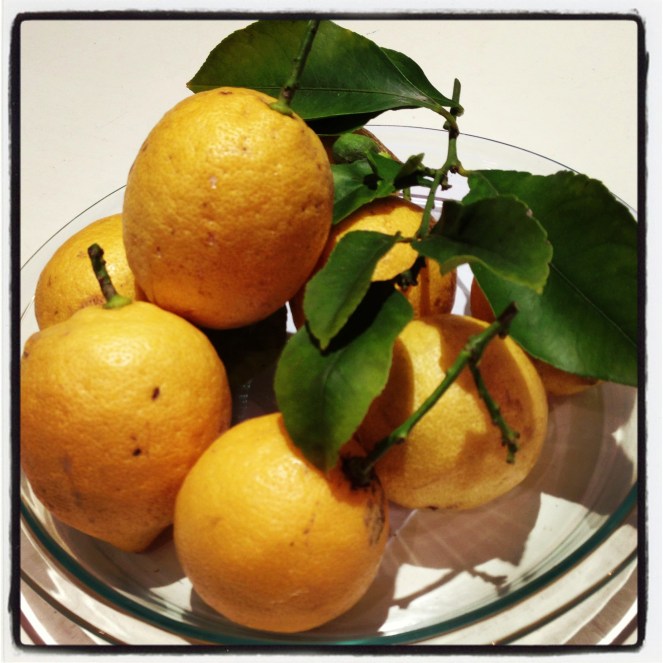 Backyard lemons