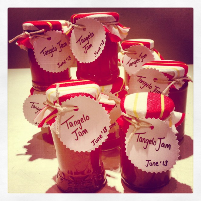 Tangelo jam