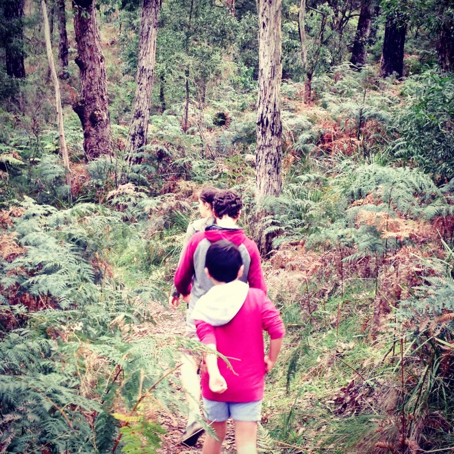 Bushwalking